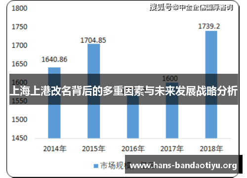 上海上港改名背后的多重因素与未来发展战略分析