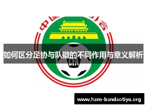 如何区分足协与队徽的不同作用与意义解析